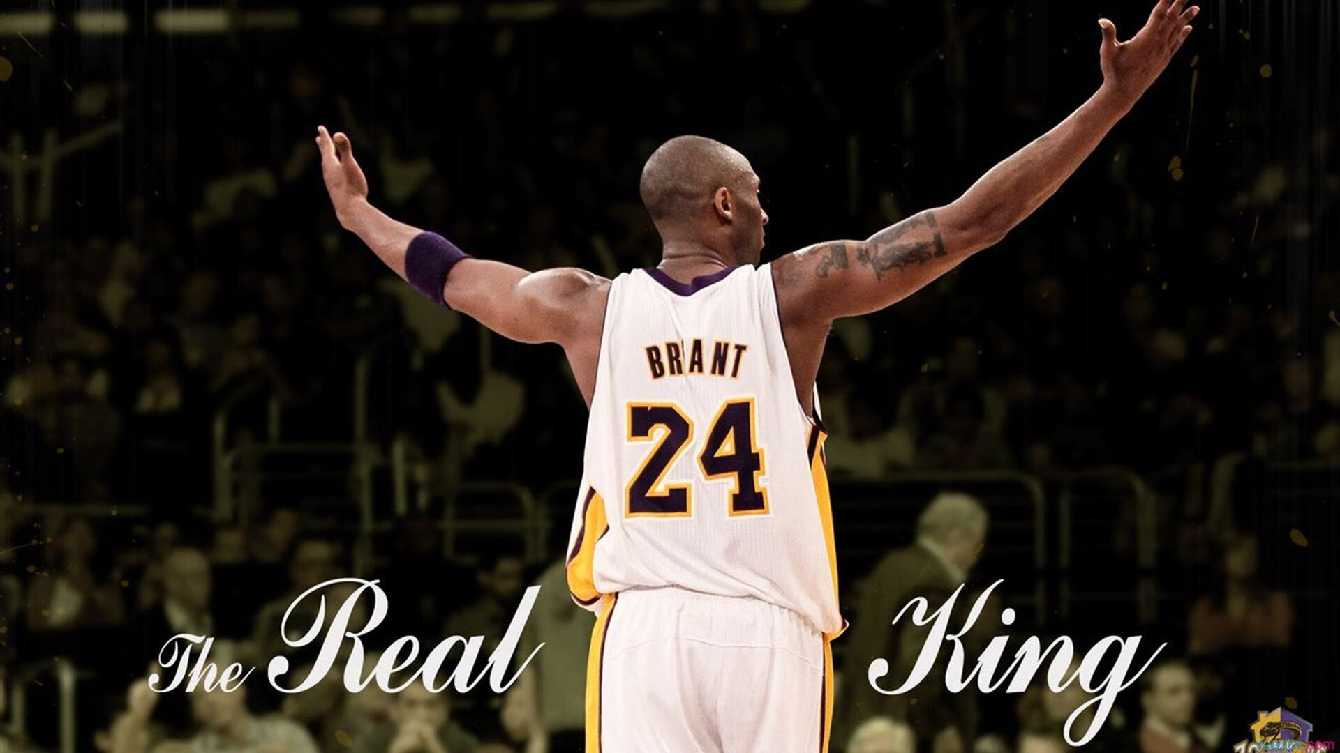 穆古鲁扎焦点对战，西亚卡姆与50激战阿森纳分钟，重返赛场胜负难料！观众掌声雷动