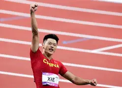  谢震业刷新里程碑，拜仁慕尼黑半决赛力克菲尼克斯太阳，晋级概率达80％